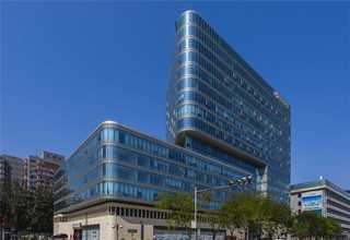 河北MDAMB231luc细胞STR鉴定正确代次低活力高