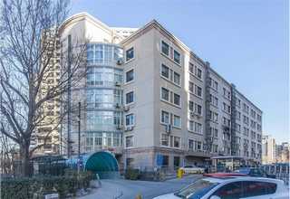 江汉区四季种子销售